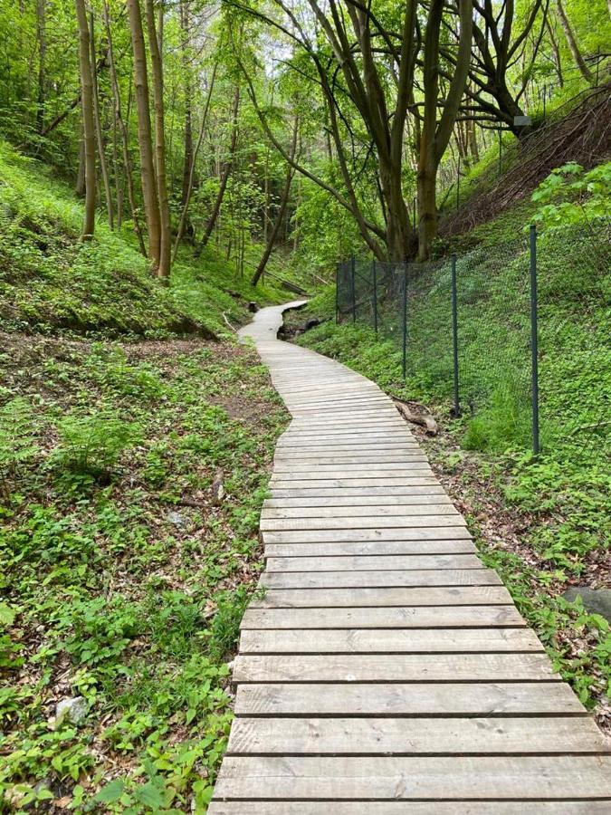 Zielone Rozewie Park Exteriér fotografie