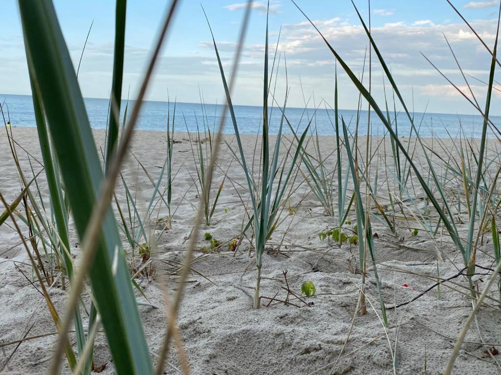 Zielone Rozewie Park Exteriér fotografie